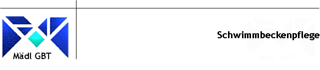 Schwimmbeckenpflege